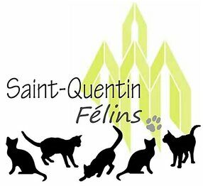 Saint-Quentin Félins